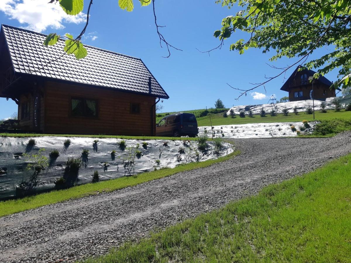 Domek Na Wzgorzu "Wilk" Swiatkowa Mala Eksteriør bilde
